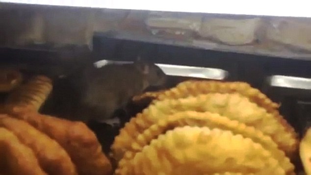 VID: Diseased Rats Filmed Eating Pizza In Fast-Food Store