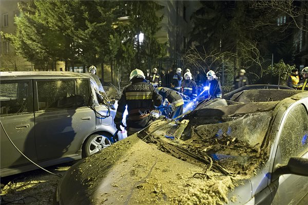 Vihar - Kidőlt fa zuhant parkoló autókra a II. kerületben