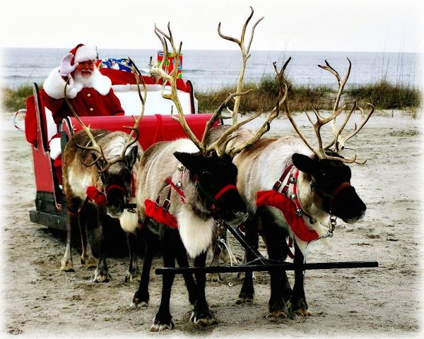 Santa-Claus-reindeer-deer-sled-present-christmas-xmas-water-north-pole-toy