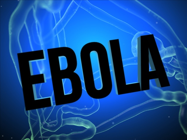 Ebola - Felülvizsgálják a brit szűrési rendszert, nincs újabb beteg
