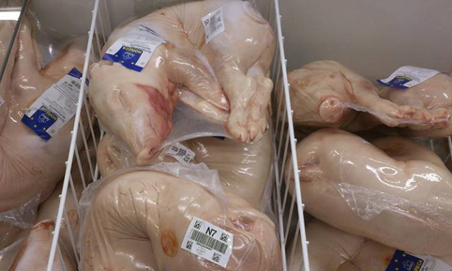 Egész fagyasztott kismalacok keltettek felháborodást a neten – fotó