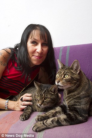 2472B48800000578-0-image-m-21_1420545104078