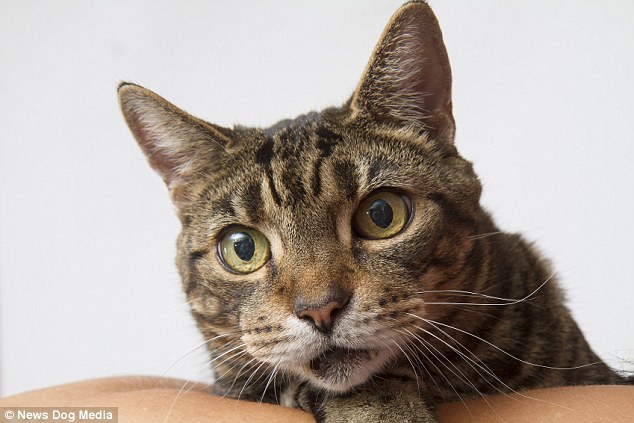 2472B68300000578-0-image-a-6_1420544921725