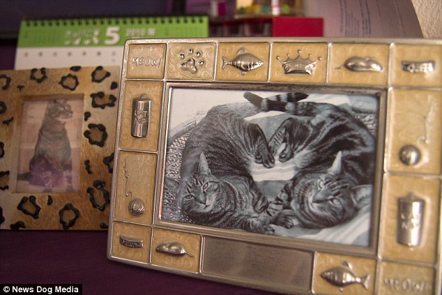 2472B94300000578-0-image-a-8_1420544936466