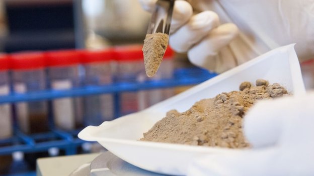 _80366678_soil_being_prepared_for_analysis-1