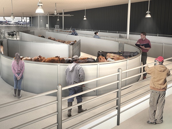 Állatoknak építenek terminált a repülőtéren
