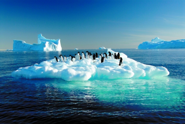 Olvad a sarki jég, avagy az emberiség egyik legnagyobb átverése! – videó