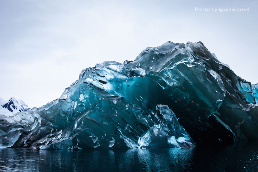 alex-cornell-iceberg-flipped__880