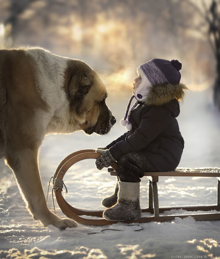 animal-children-photography-elena-shumilova-2-211