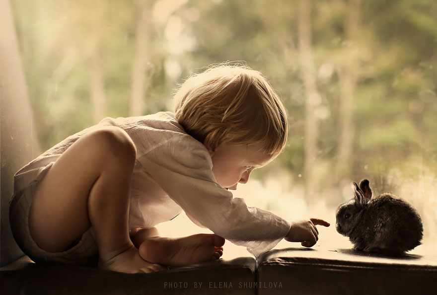 animal-children-photography-elena-shumilova-2-321