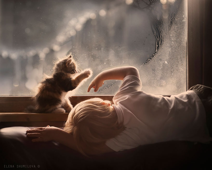 animal-children-photography-elena-shumilova-2-42
