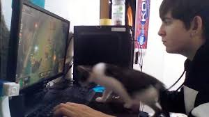 Ezért nem kell macska mellett számítógépes játékon játszani! – videó