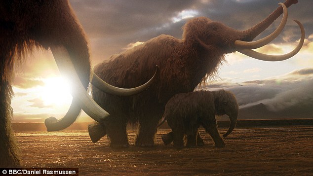 Szibériában léteznek még élő mamutok? – videó