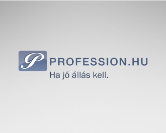 Profession.hu: jelentősen nőtt az online álláshirdetések száma tavaly