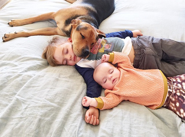 Aranyos fotósorozat! A kisfiú, a kutyusa és a kishúg!