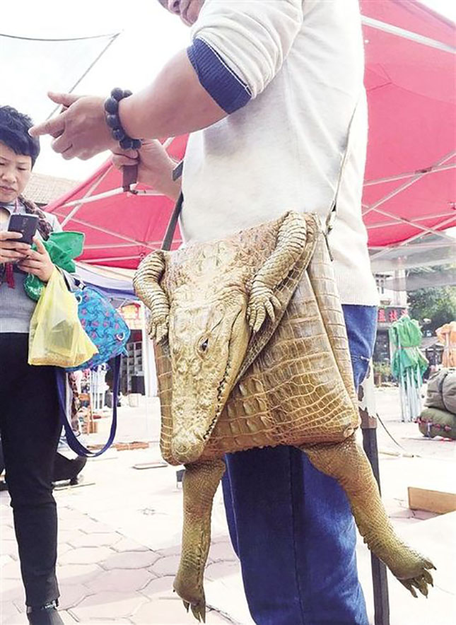 Eredeti krokodilbőr táska