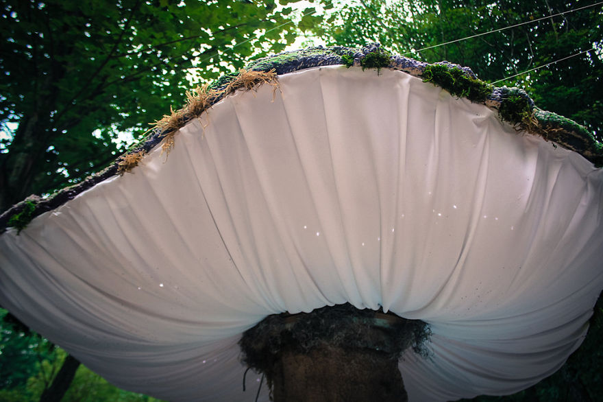 Giant-Mushrooms10__880