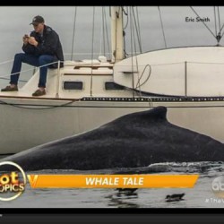 Smartphone-user-misses-whale-breaching-few-feet-away