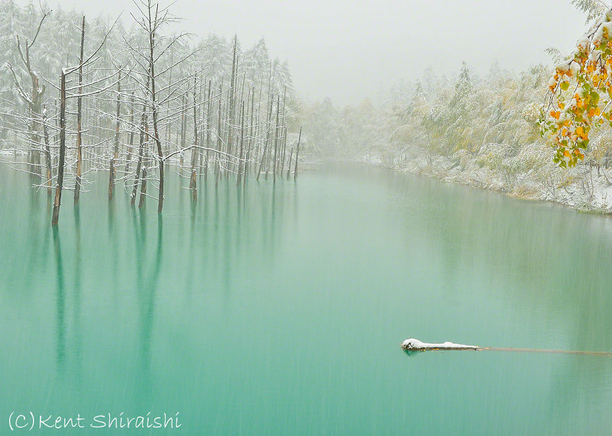 The-Most-Beautiful-Pond-in-the-World-__880