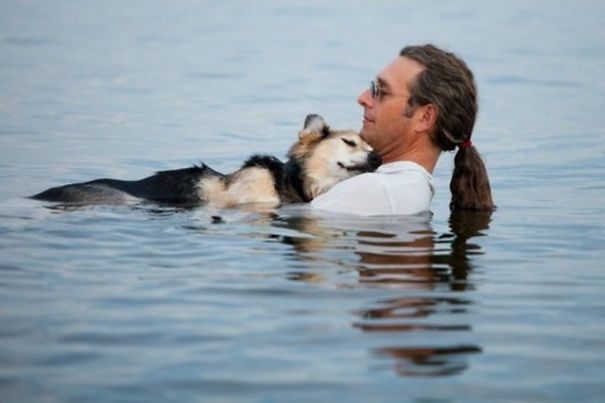 Minden este megfürdeti beteg kutyáját a férfi a tóban, hogy segítsen enyhíteni a fájdalmát 