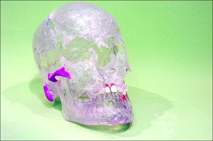 inside silicon skull