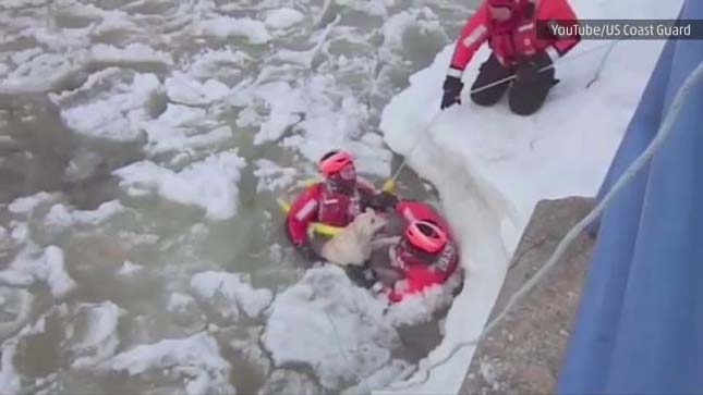Így mentettek ki egy kutyust a jégtáblák közül a parti őrség tagjai – videó