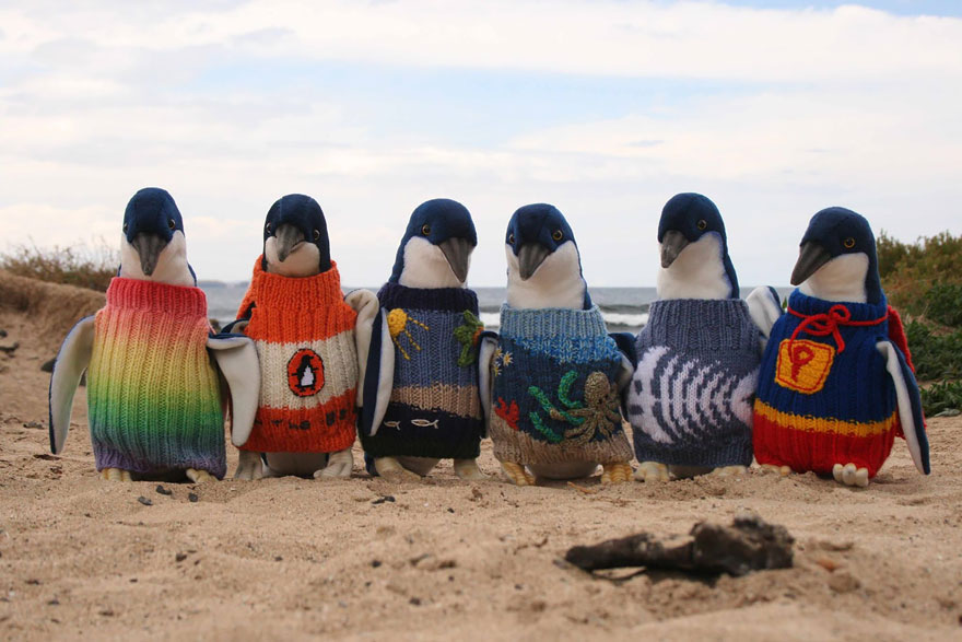 Ausztrália legidősebb embere pingvineknek köt pulcsikat
