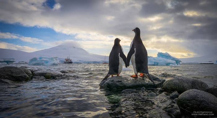 Gyönyörű képek a zord és érintetlen Antarktiszról
