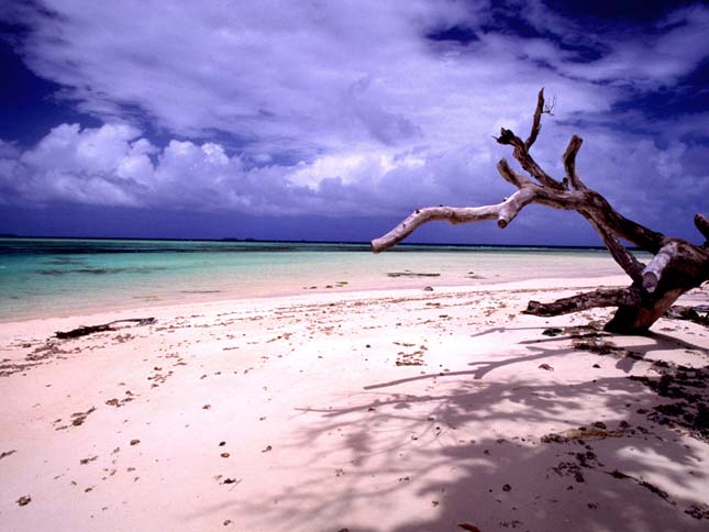 Bikini-atoll lakói a klímaváltozás miatt az USA-ban akarnak letelepedni