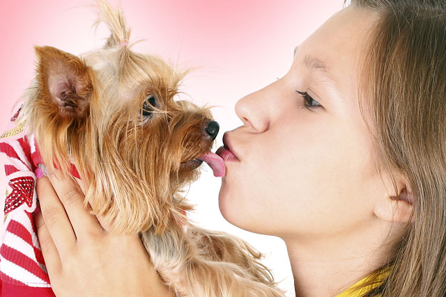 Ezért egészséges, ha szájon nyal a kutyád a kutatók szerint