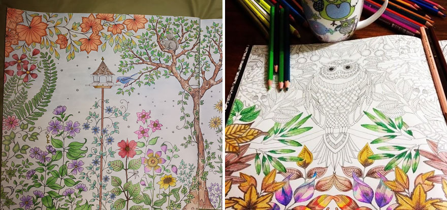 coloring-books-for-adults-johanna-basford-12__880 (1)