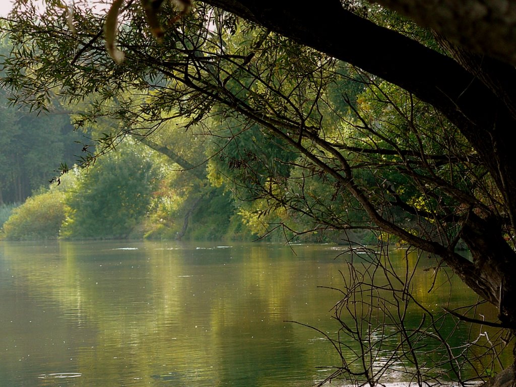 Végéhez közeledik a Mosoni-Duna és a Lajta vízgazdálkodási, valamint a Szigetköz ökológiai rehabilitációja