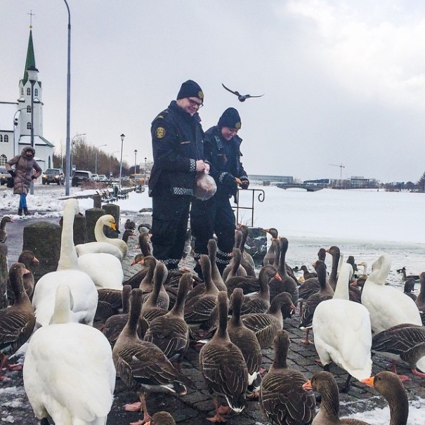 Az izlandi rendőrség Instagramja a legmenőbb az interneten
