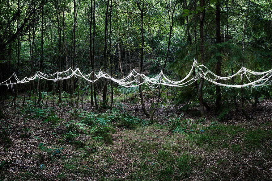 surreal-forest-photograhy-ellie-davis-18__880