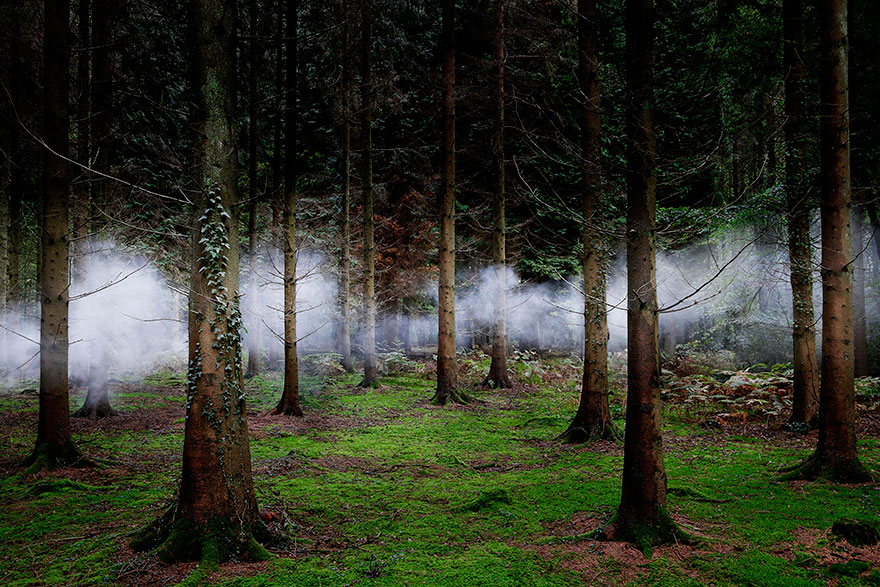 Egy művész különleges alkotássá alakított egy erdőt
