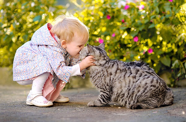 11 aranyos kép a gyerek-cica barátságról