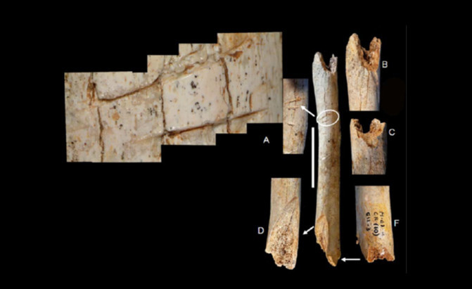 A neandervölgyi ember különös temetkezési rituáléjára utal egy új kutatás