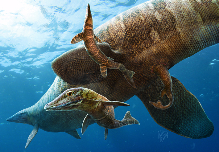 A moszaszauruszok a nyílt tengeren hozták világra kicsinyeiket