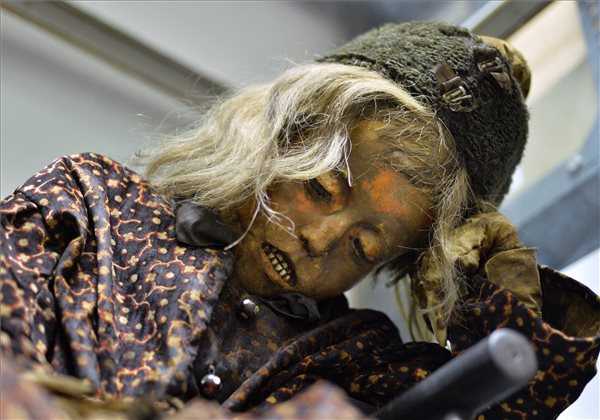 Százötven éves kisfiú múmiája a Magyar Természettudományi Múzeumban