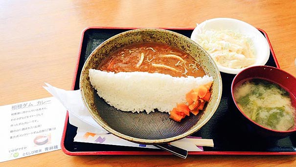 dam-curry-rice-damukare-japan-bento-5