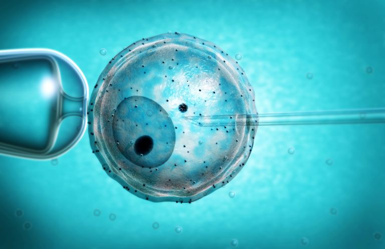 A stylized visualization of in vitro fertilization (IVF). In vi