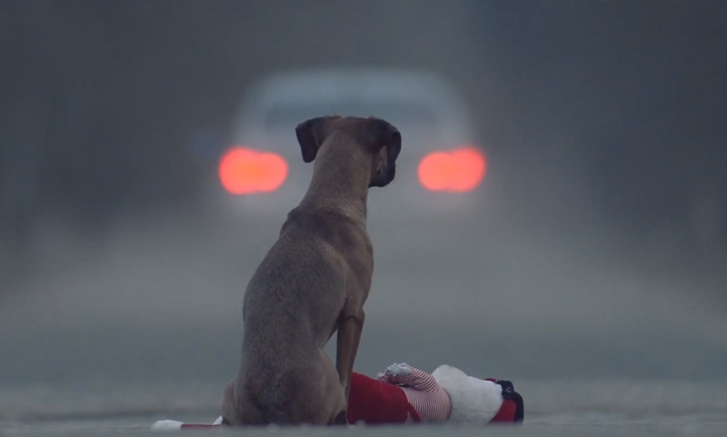 Megrázó magyar rövidfilm hódít a neten, avagy kidobnád autódból a gyermeked, mint egy kutyát?