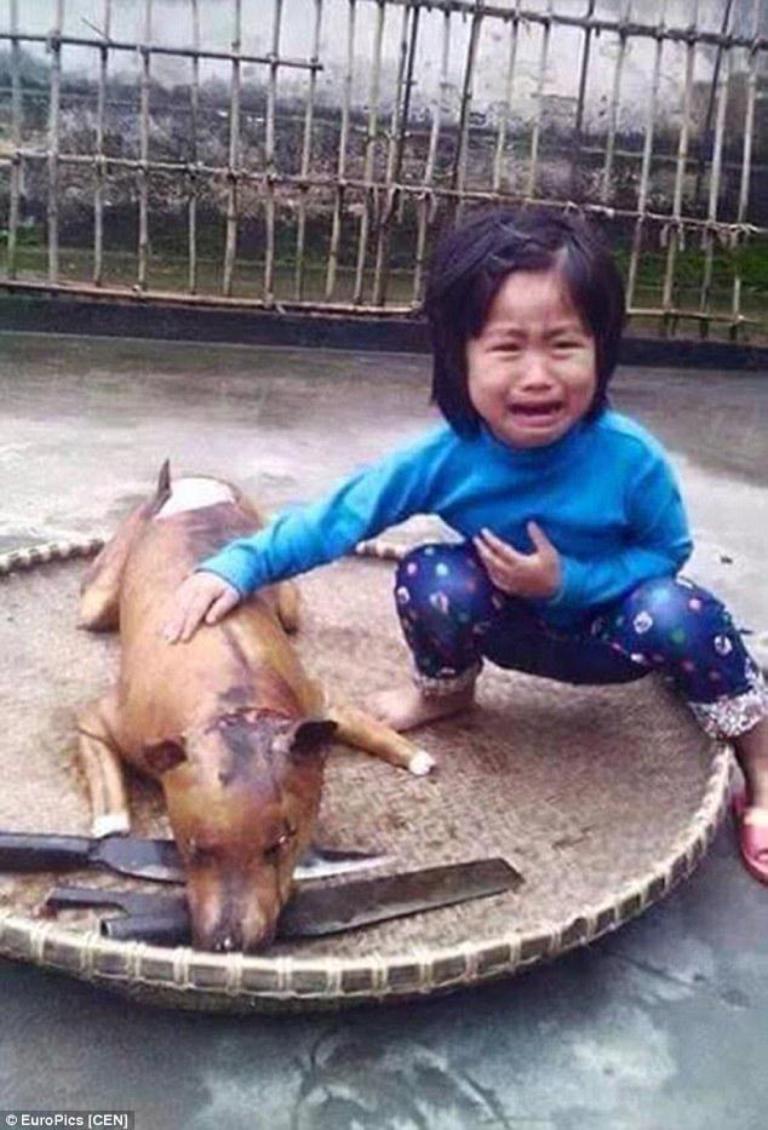 vietnam-girl-dog-meat-2-2015-3-31