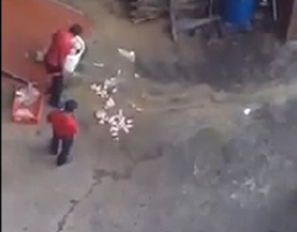 Kuka mellet a földön takarították a csirkét a KFC-nél- videó