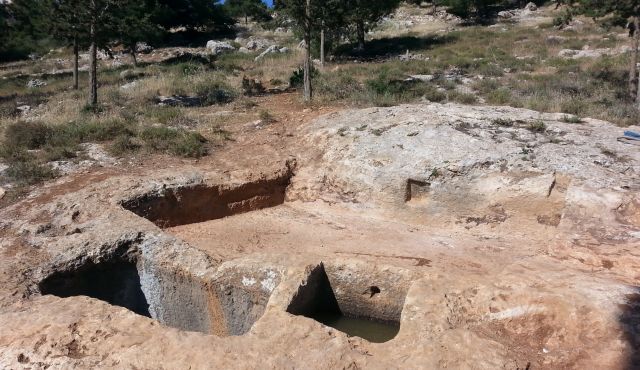 Régészkedő izraeli gyerekek 1400 éves szőlőprést ástak ki a földből