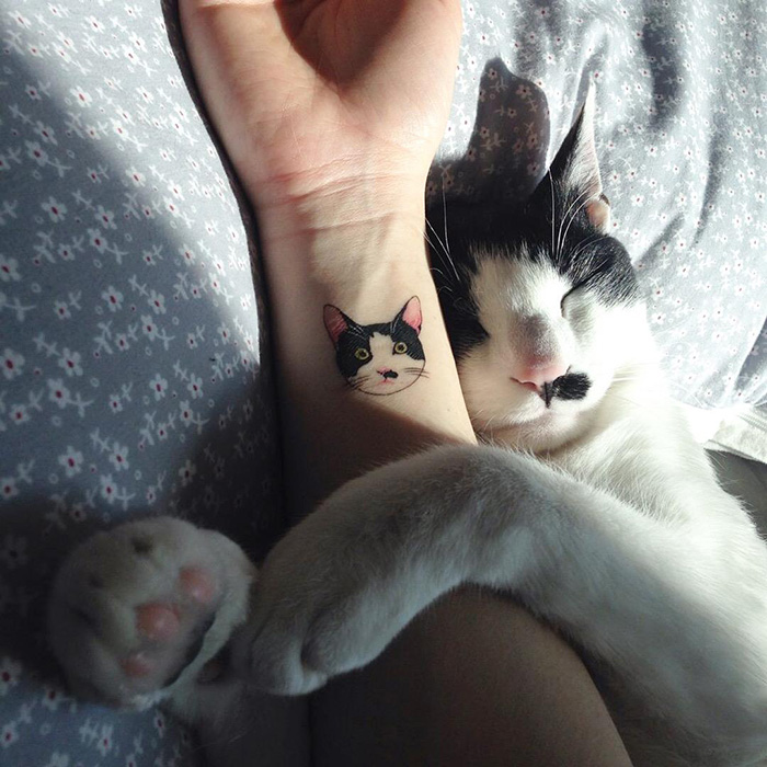 Igazán aranyos macskás tetoválásokkal szegnek törvényt Dél-Koreában