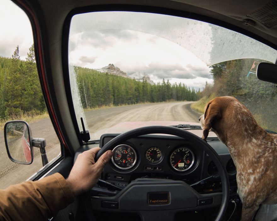 dog-traveling-car-motorcycle-maddie-on-road-11