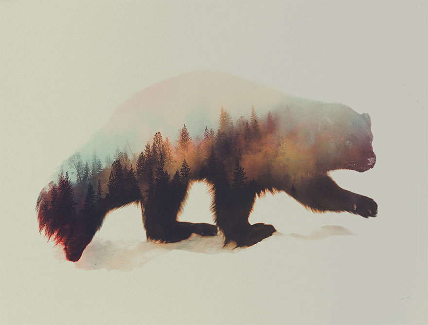 double-exposure-animal-photography-andreas-lie-15__880