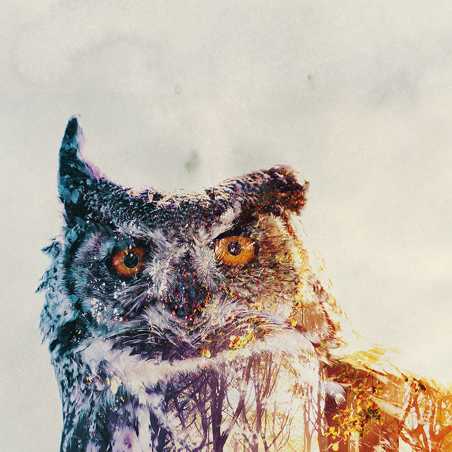 double-exposure-animal-photography-andreas-lie-23__880