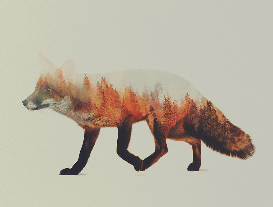 double-exposure-animal-photography-andreas-lie-7__880